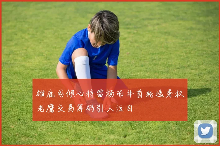 雄鹿或倾心特雷杨而非首轮选秀权老鹰交易筹码引人注目